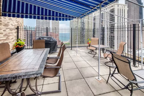40 E Cedar St #15C, Chicago, IL 60611 photo 23