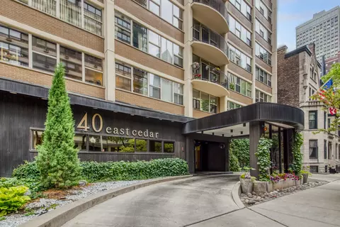 40 E Cedar St #15C, Chicago, IL 60611 photo 2