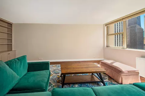 40 E Cedar St #15C, Chicago, IL 60611 photo 4