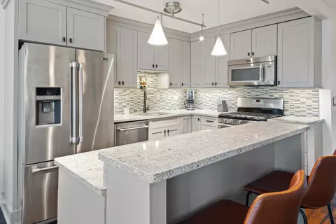 40 E Cedar St #15C, Chicago, IL 60611 photo 11
