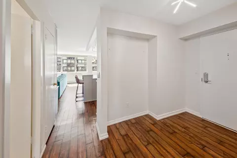 40 E Cedar St #15C, Chicago, IL 60611 photo 21