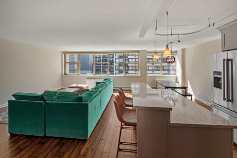 40 E Cedar St #15C, Chicago, IL 60611 photo 7
