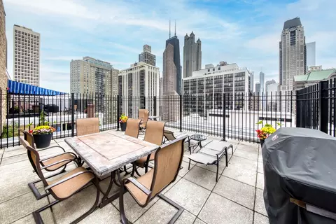 40 E Cedar St #15C, Chicago, IL 60611 photo 24