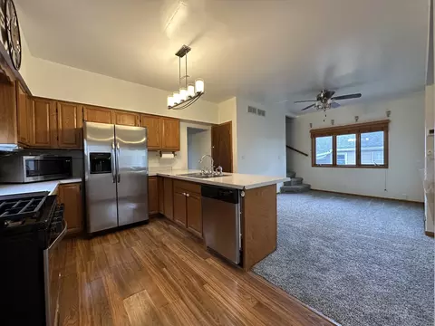 217 Stiles St, Genoa, IL 60135 photo 3