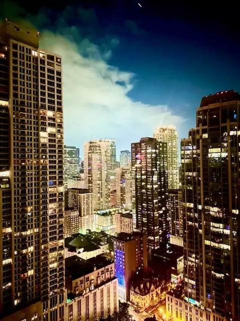 100 E Huron St #4901, Chicago, IL 60611 photo 18