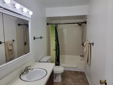 306 Union St, Bloomington, IL 61701 photo 12
