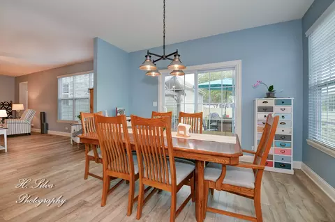 355 Snow Drop Ln, Elgin, IL 60124 photo 11