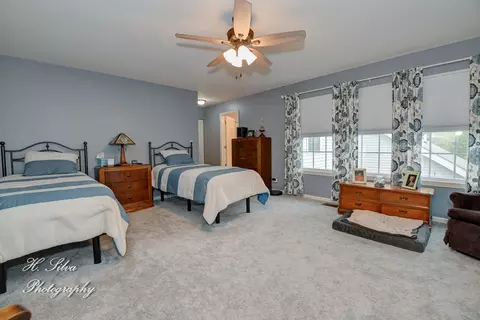 355 Snow Drop Ln, Elgin, IL 60124 photo 23