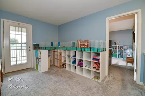 355 Snow Drop Ln, Elgin, IL 60124 photo 19