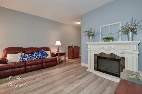 355 Snow Drop Ln, Elgin, IL 60124 photo 3