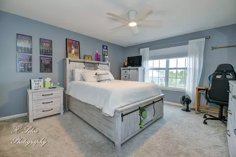 355 Snow Drop Ln, Elgin, IL 60124 photo 21