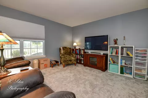 355 Snow Drop Ln, Elgin, IL 60124 photo 20