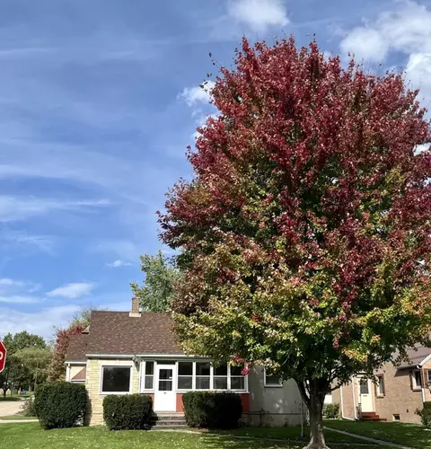630 W Devlin St, Spring Valley, IL 61362 photo 3
