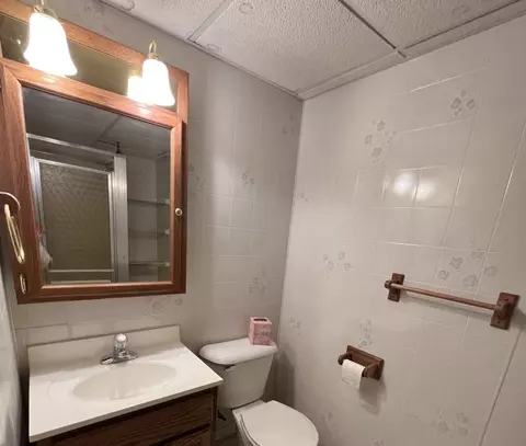 630 W Devlin St, Spring Valley, IL 61362 photo 22