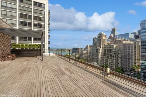 210 E Pearson St #14C, Chicago, IL 60611 photo 20
