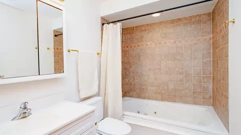 207 Franklin Ave, River Forest, IL 60305 photo 23