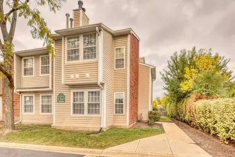 1341 E Wyndham Cir #102, Palatine, IL 60074