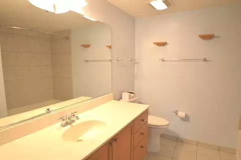 8030 Riverwalk Dr #3A, Lyons, IL 60534 photo 13