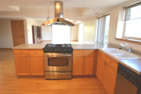 8030 Riverwalk Dr #3A, Lyons, IL 60534 photo 7