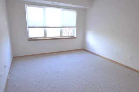 8030 Riverwalk Dr #3A, Lyons, IL 60534 photo 15