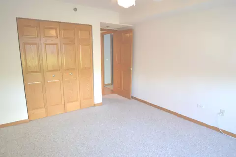 8030 Riverwalk Dr #3A, Lyons, IL 60534 photo 16