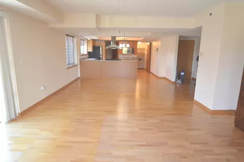 8030 Riverwalk Dr #3A, Lyons, IL 60534 photo 4