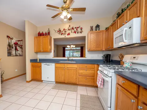 21014 W Braxton Ln, Plainfield, IL 60544 photo 6