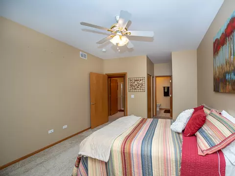 21014 W Braxton Ln, Plainfield, IL 60544 photo 8