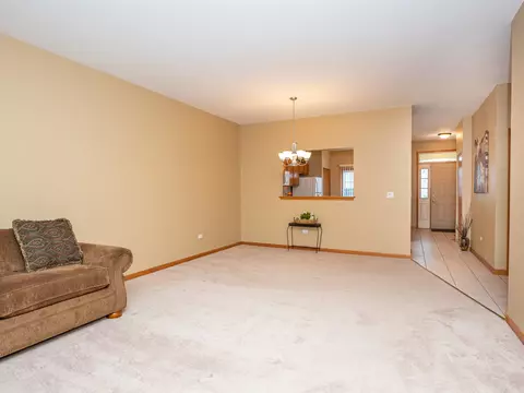 21014 W Braxton Ln, Plainfield, IL 60544 photo 3