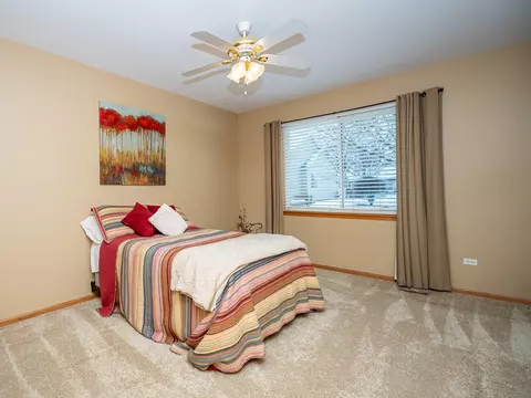 21014 W Braxton Ln, Plainfield, IL 60544 photo 7