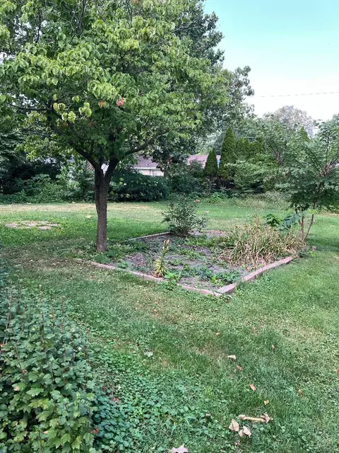 840 E North St, Morris, IL 60450 photo 2