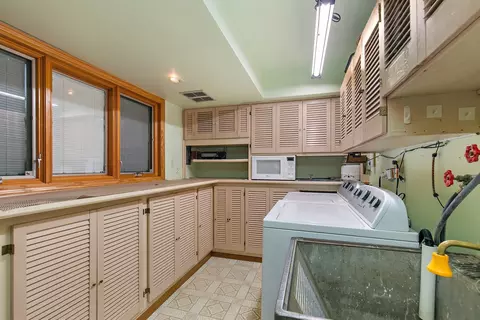 393 E Park Ave, Elmhurst, IL 60126 photo 24