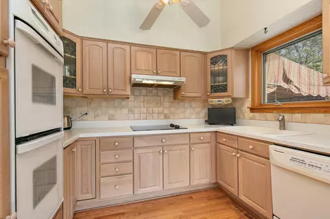 393 E Park Ave, Elmhurst, IL 60126 photo 16