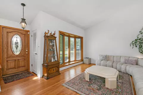 393 E Park Ave, Elmhurst, IL 60126 photo 5