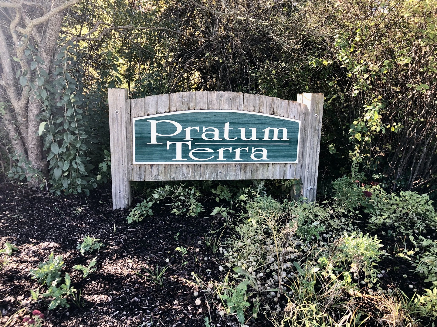 14067 W Pratum Terra Dr  