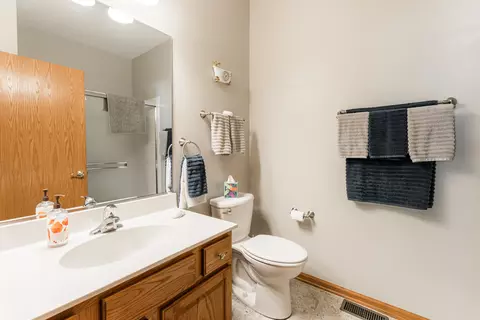 21512 W Juniper Ct, Plainfield, IL 60544 photo 21