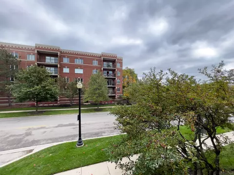 100 N Gary Ave #210, Wheaton, IL 60187 photo 18