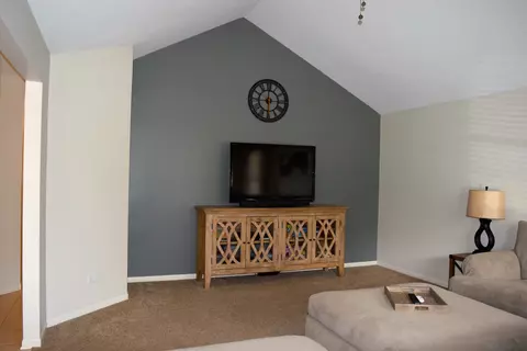 1570 Mallards Cv, Beecher, IL 60401 photo 14