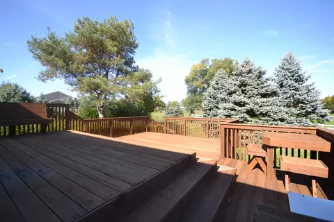 41 W038 Bowes Rd, Elgin, IL 60124 photo 20