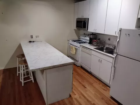 811 S Lytle St #204, Chicago, IL 60607 photo 7
