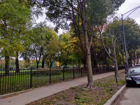 811 S Lytle St #204, Chicago, IL 60607 photo 3