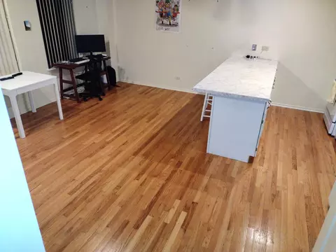 811 S Lytle St #204, Chicago, IL 60607 photo 5