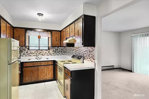 7321 W 85th Pl #3B, Bridgeview, IL 60455 photo 9