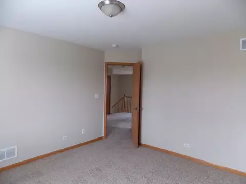 923 Christopher St, Plano, IL 60545 photo 17