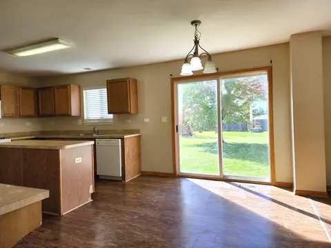 923 Christopher St, Plano, IL 60545 photo 6