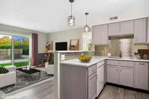 3305 Kirchoff Rd #1A, Rolling Meadows, IL 60008 photo 5
