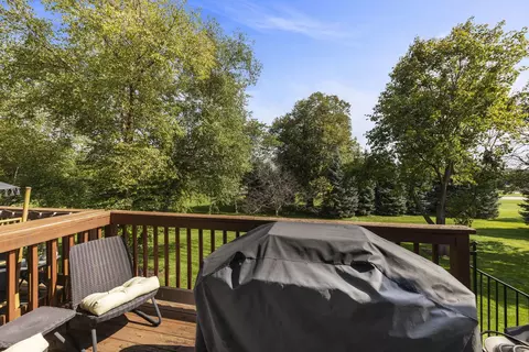 24101 Pear Tree Cir, Plainfield, IL 60585 photo 8