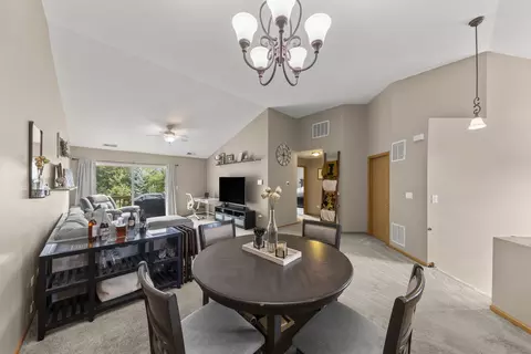 24101 Pear Tree Cir, Plainfield, IL 60585 photo 6