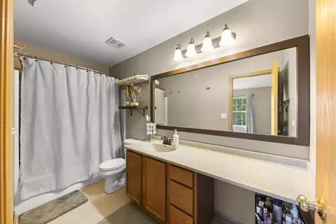 24101 Pear Tree Cir, Plainfield, IL 60585 photo 14