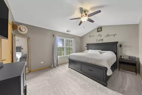 24101 Pear Tree Cir, Plainfield, IL 60585 photo 12
